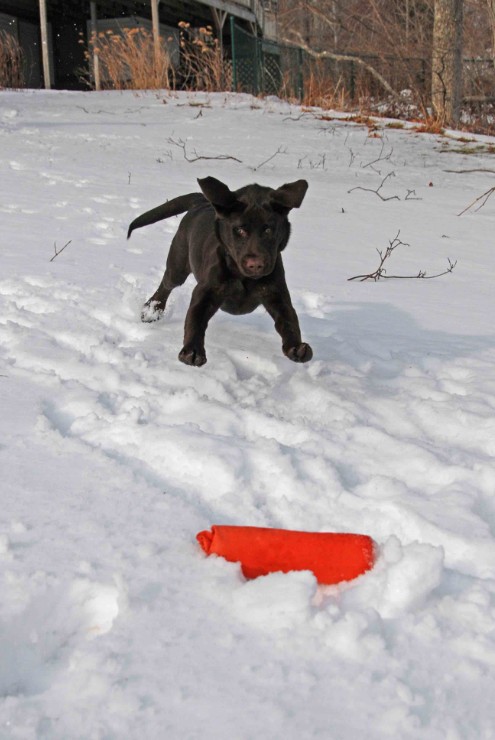 Tucker_2007 12 23 021.jpg